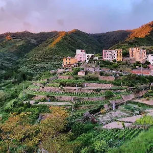 Arbanella ** Corniglia